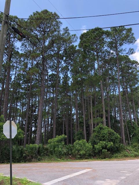 Tbd Lot 11 Tbd Circle Santa Rosa Beach, FL 32459 - Photo 7 of 13 a view of a street