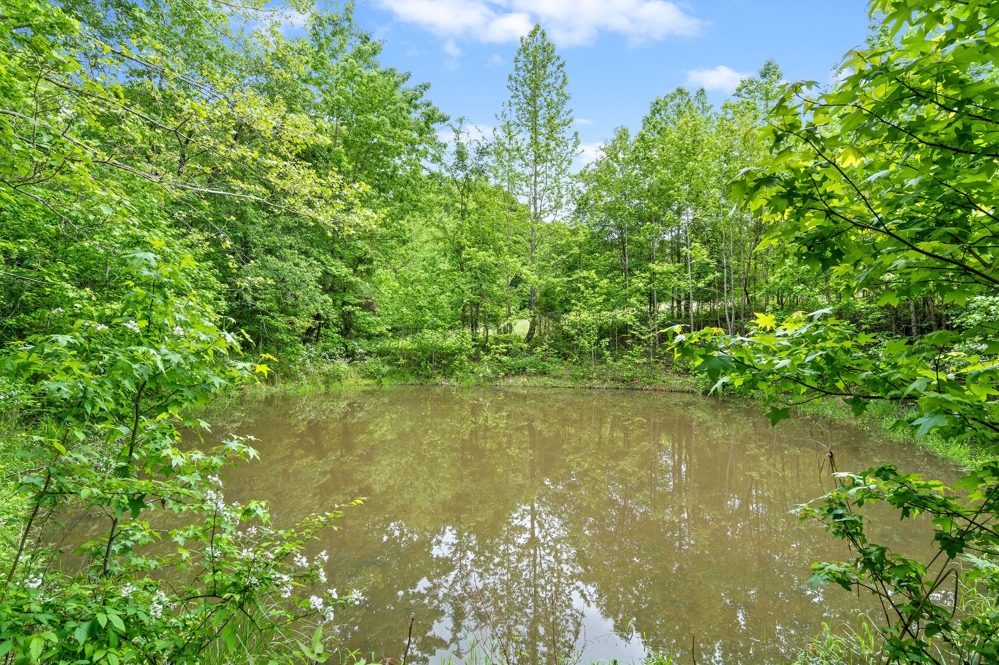 3683 Reed Road Indian Mound, TN 37079 - Photo 34 of 48 Gallery Image 34