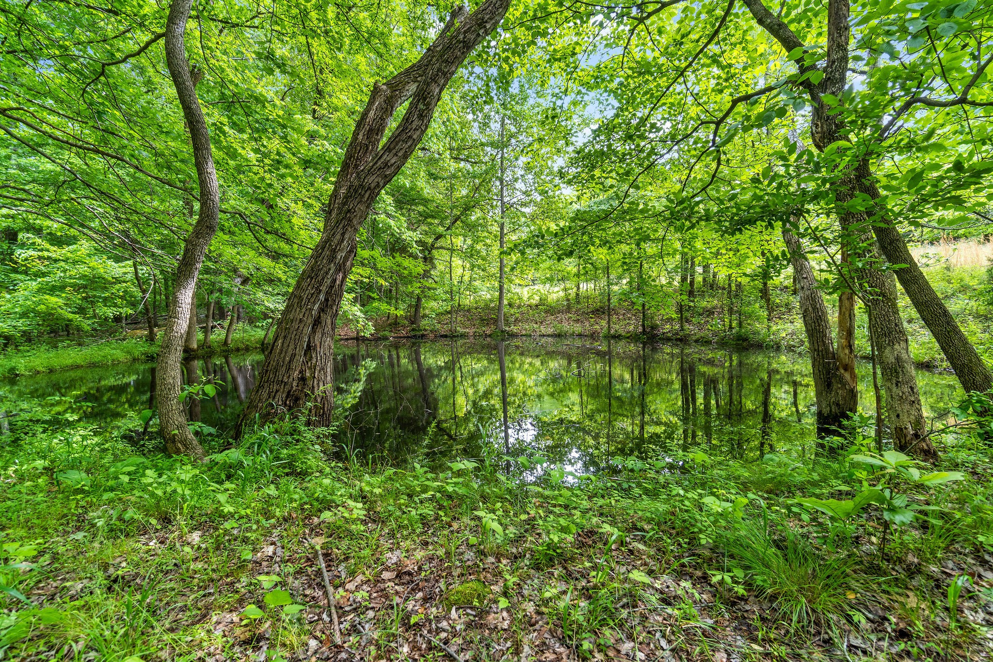 3683 Reed Road Indian Mound, TN 37079 - Photo 35 of 48 Gallery Image 35