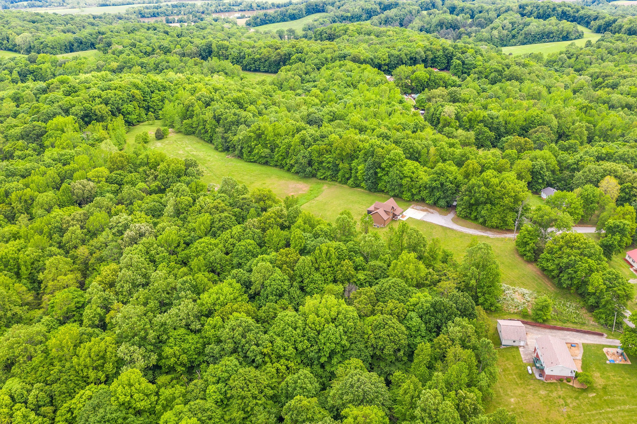 3683 Reed Road Indian Mound, TN 37079 - Photo 41 of 48 Gallery Image 41