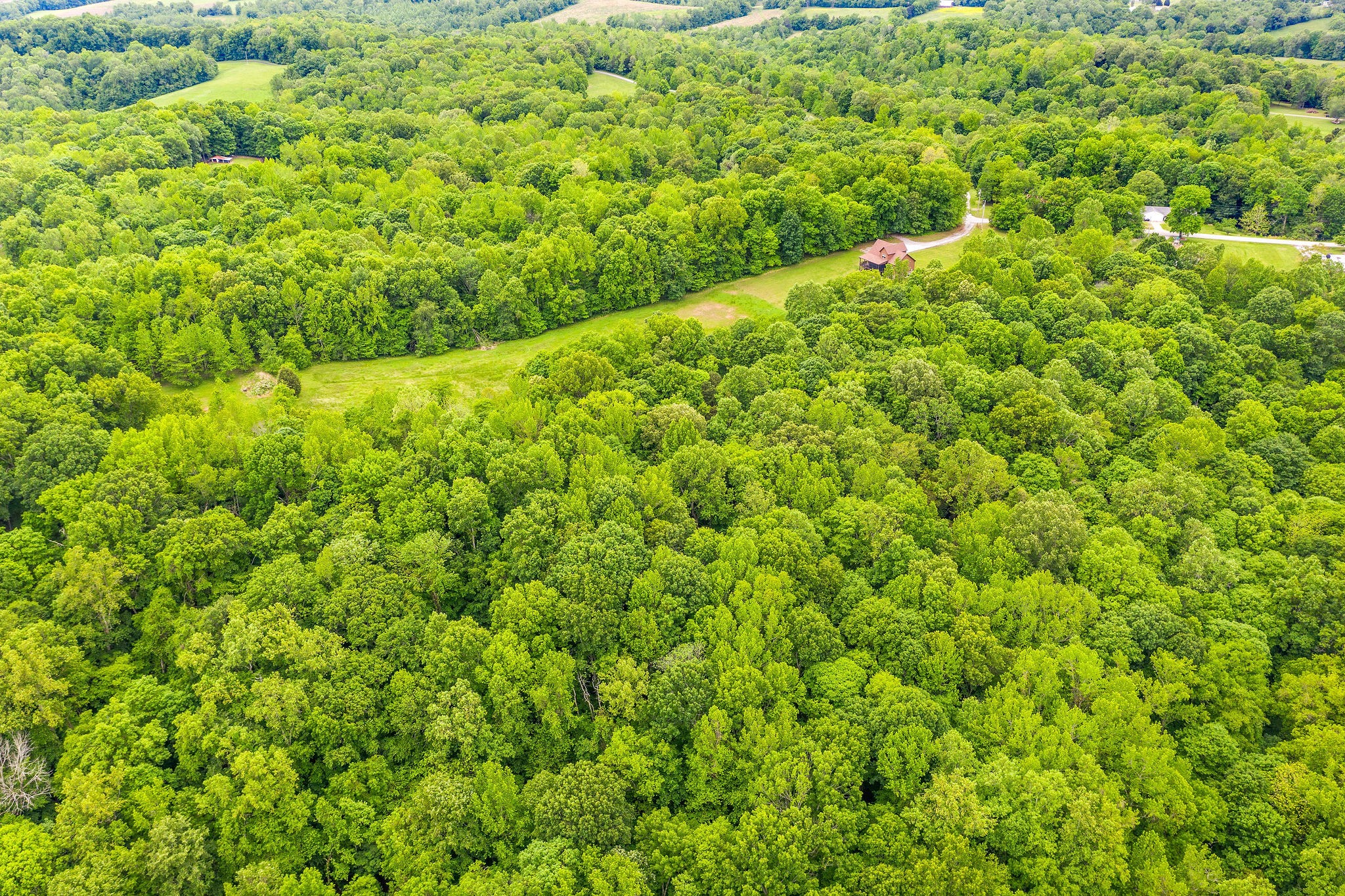 3683 Reed Road Indian Mound, TN 37079 - Photo 42 of 48 Gallery Image 42