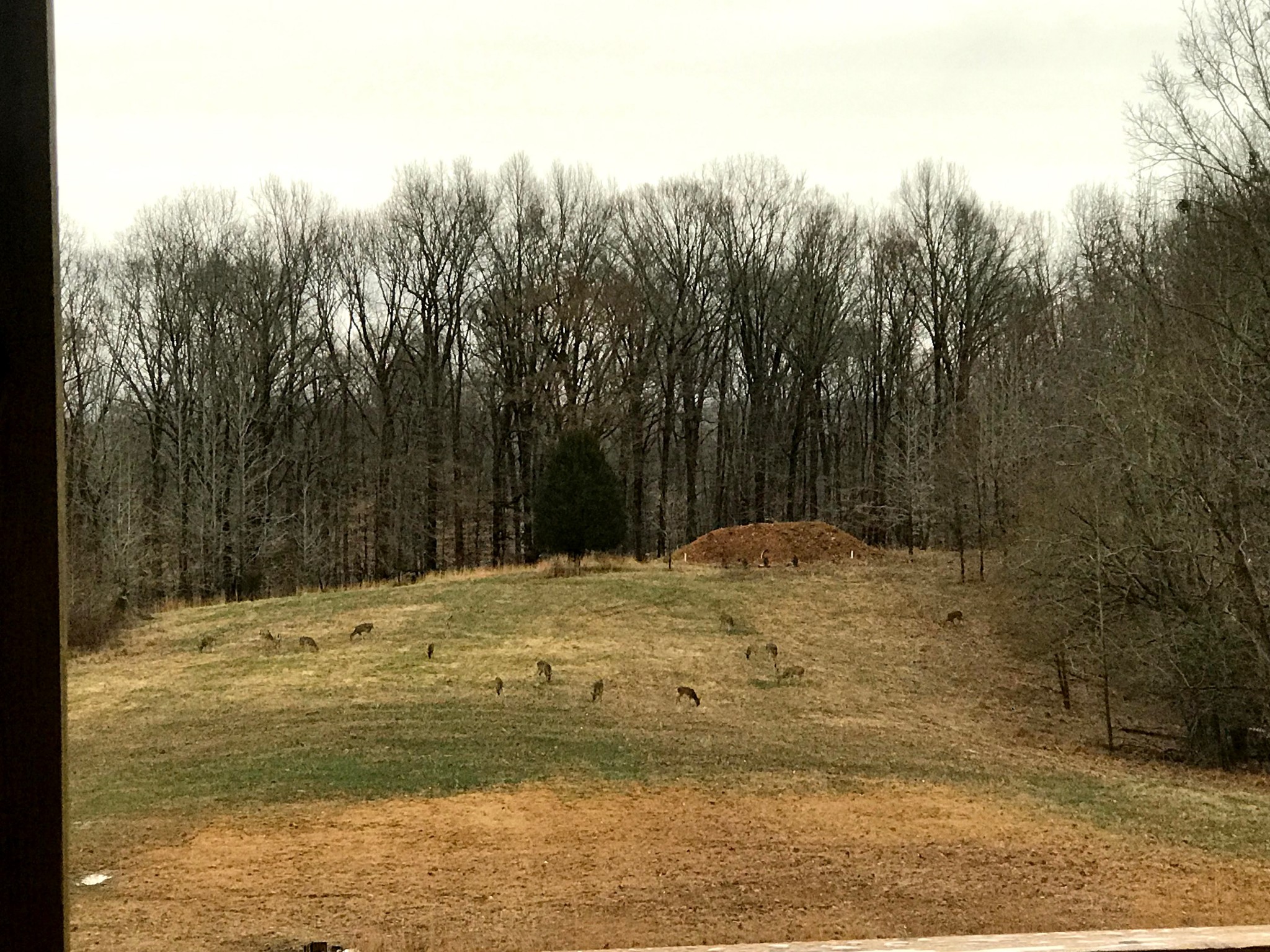 3683 Reed Road Indian Mound, TN 37079 - Photo 47 of 48 Gallery Image 47