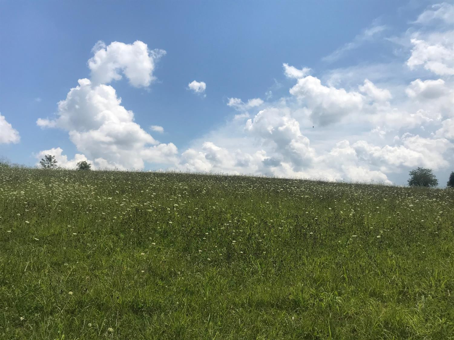 467 Whitson School Road London, KY 40741 - Photo 11 of 16 Photo 11