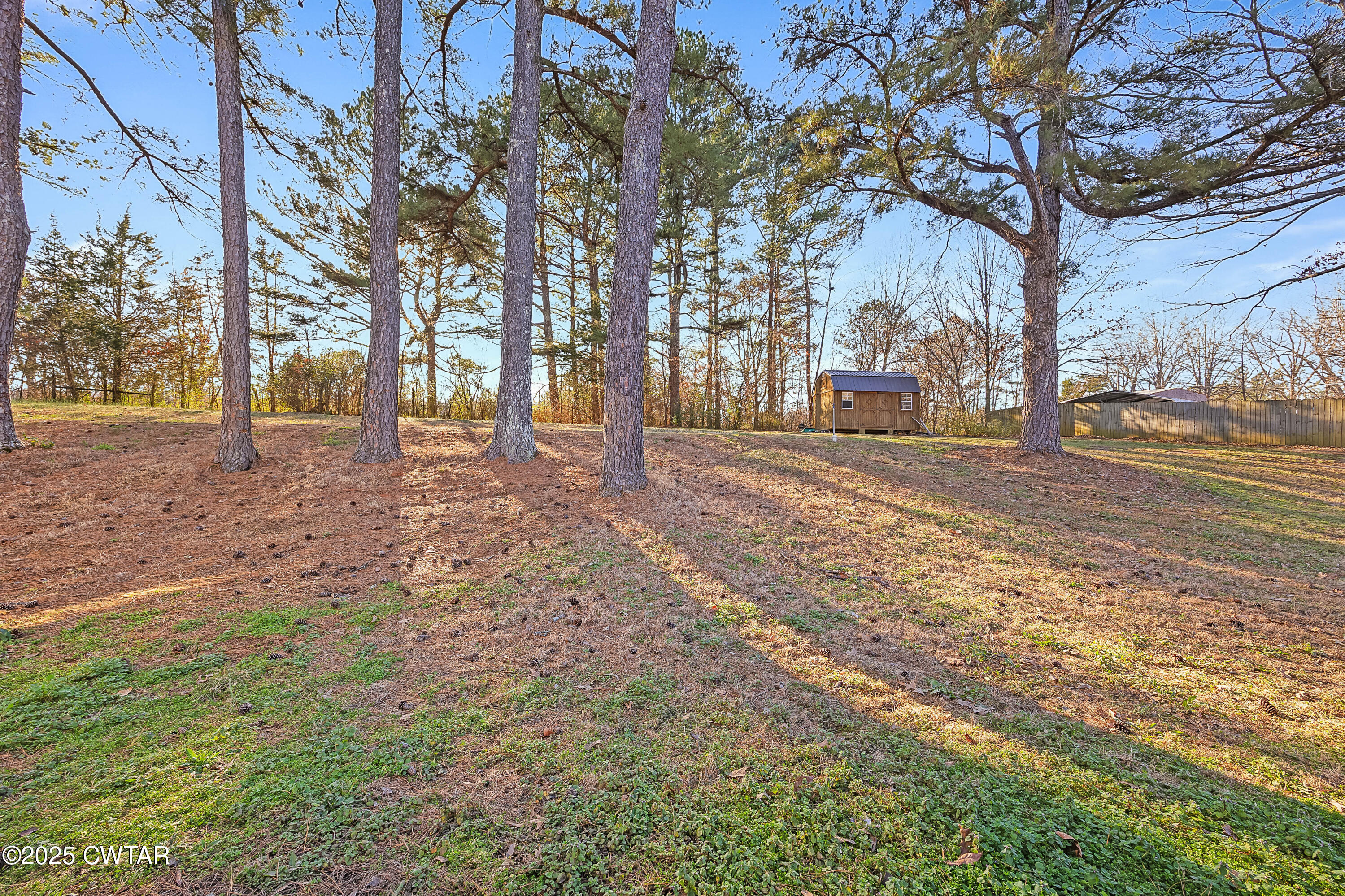 240 New Flanagan Road Lexington, TN 38351 - Photo 3 of 17 E02A5389