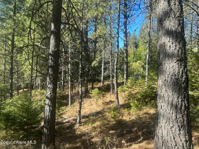 $139,900 | Nka East Hayden Lake Road, Hayden, ID 83835