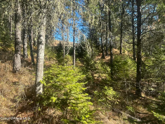 $139,900 | Nka East Hayden Lake Road, Hayden, ID 83835