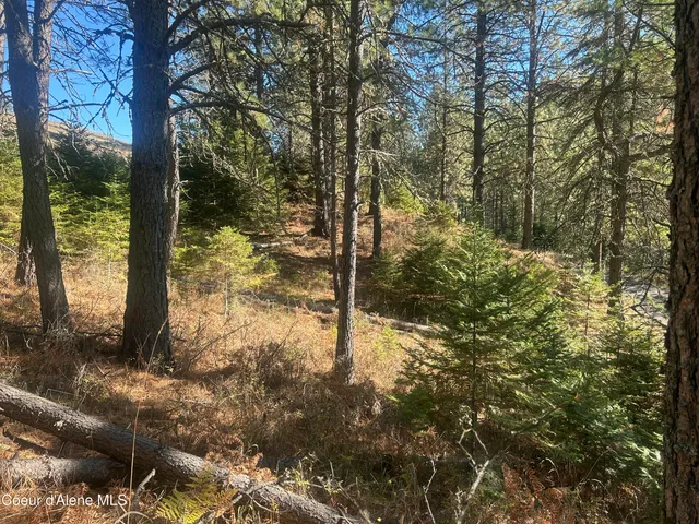 $139,900 | Nka East Hayden Lake Road, Hayden, ID 83835