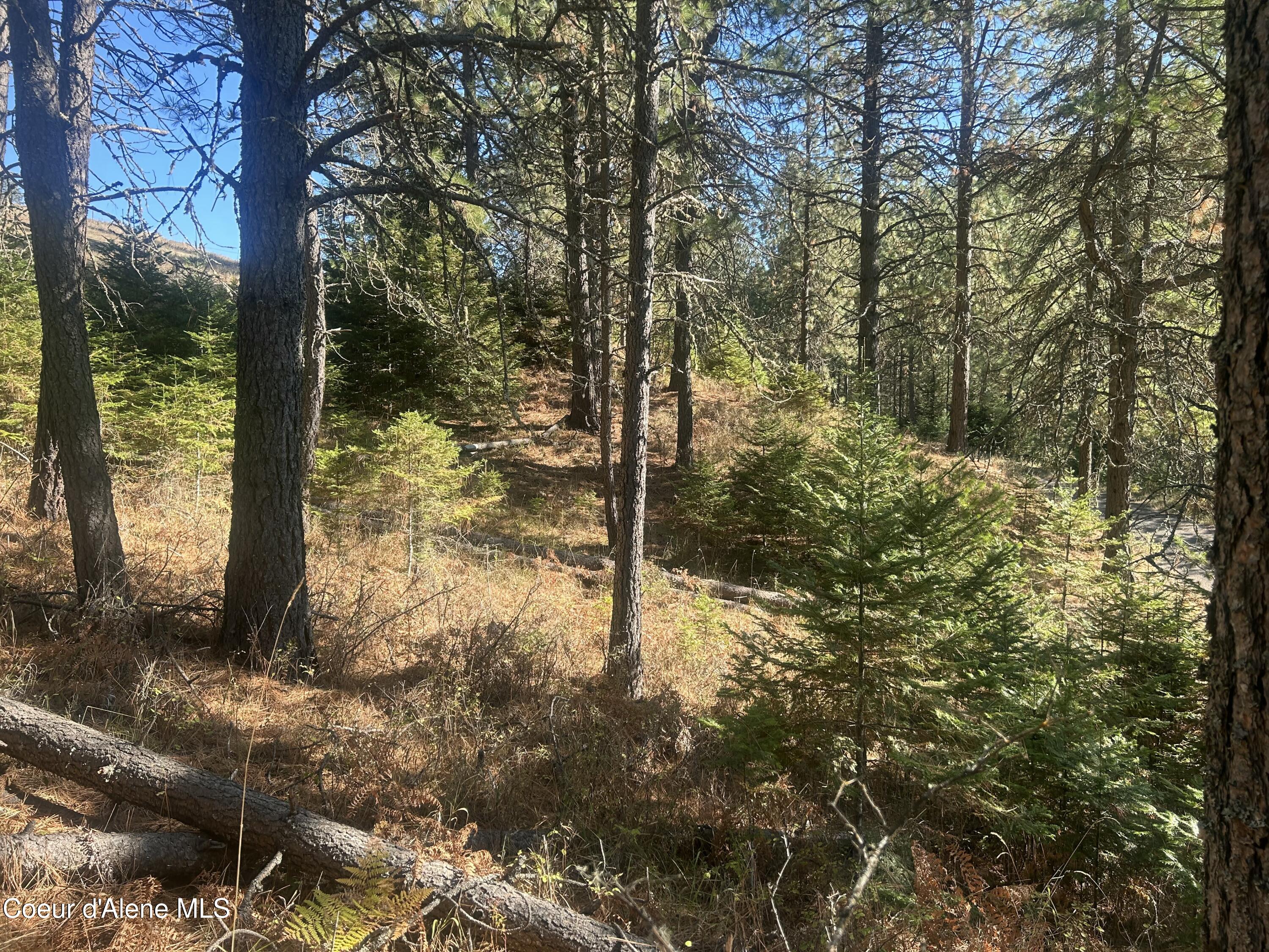 Nka East Hayden Lake Road Hayden, ID 83835 - Photo 14 of 17 IMG_5732