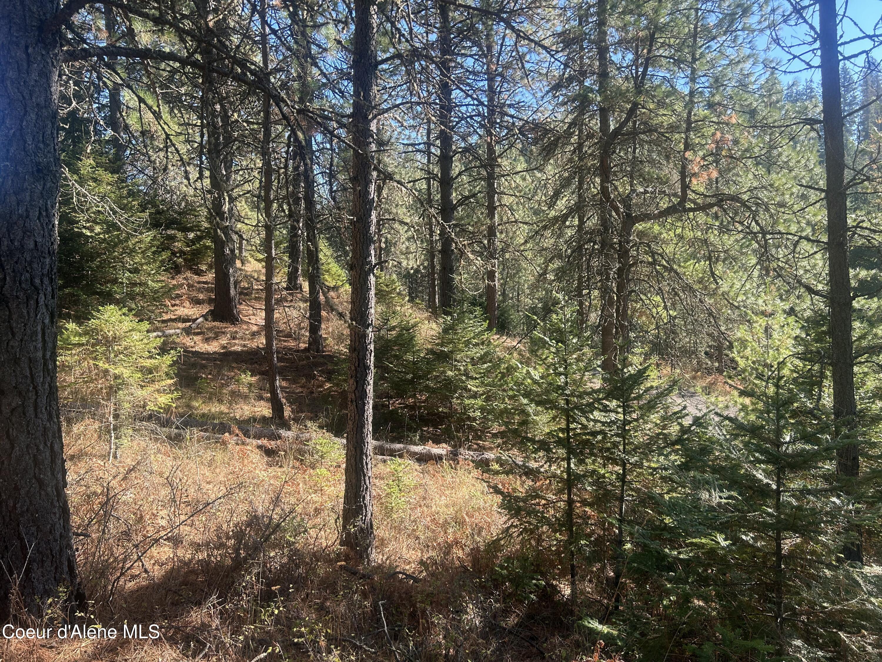 Nka East Hayden Lake Road Hayden, ID 83835 - Photo 15 of 17 IMG_5733