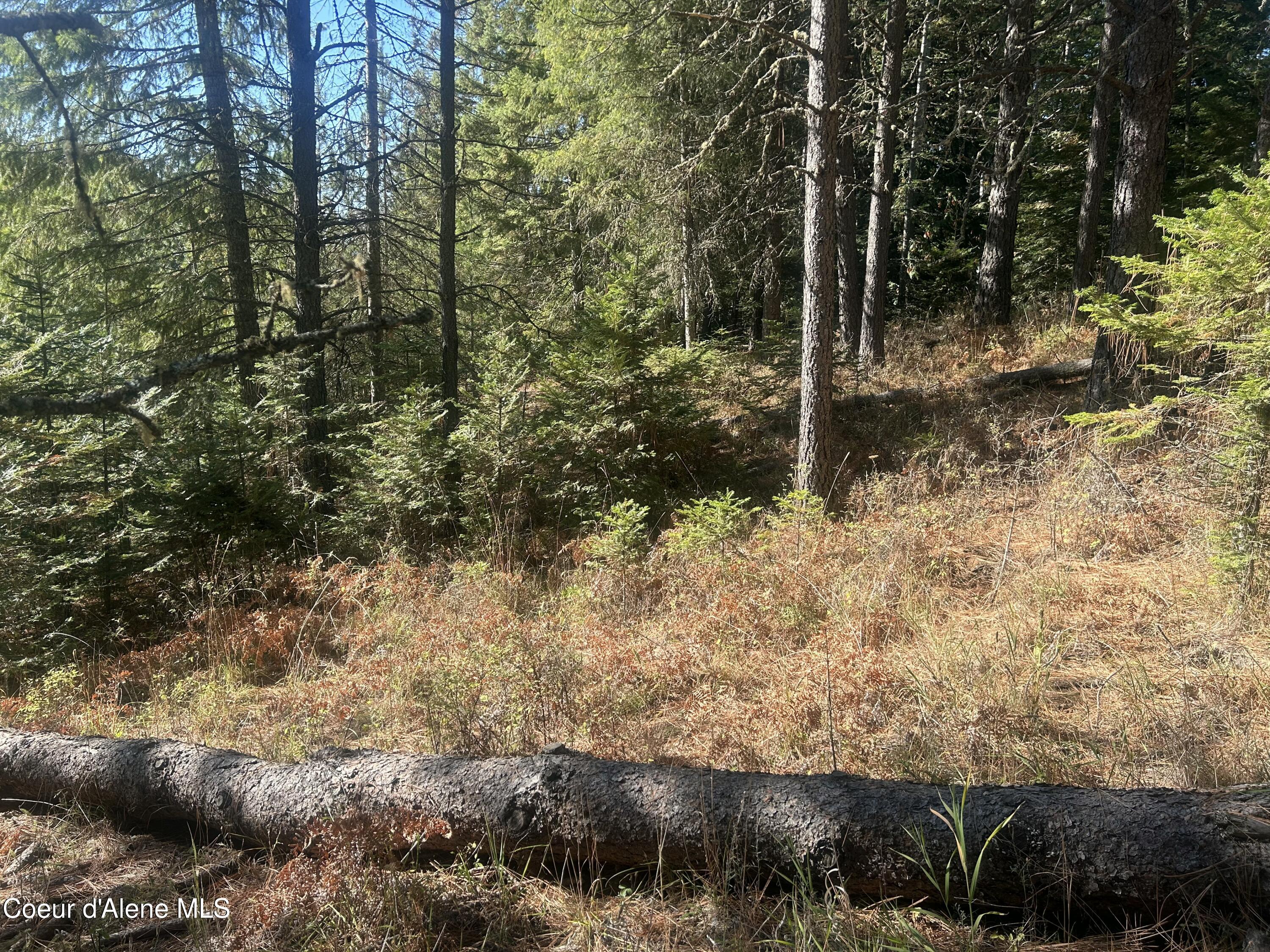 Nka East Hayden Lake Road Hayden, ID 83835 - Photo 16 of 17 IMG_5734