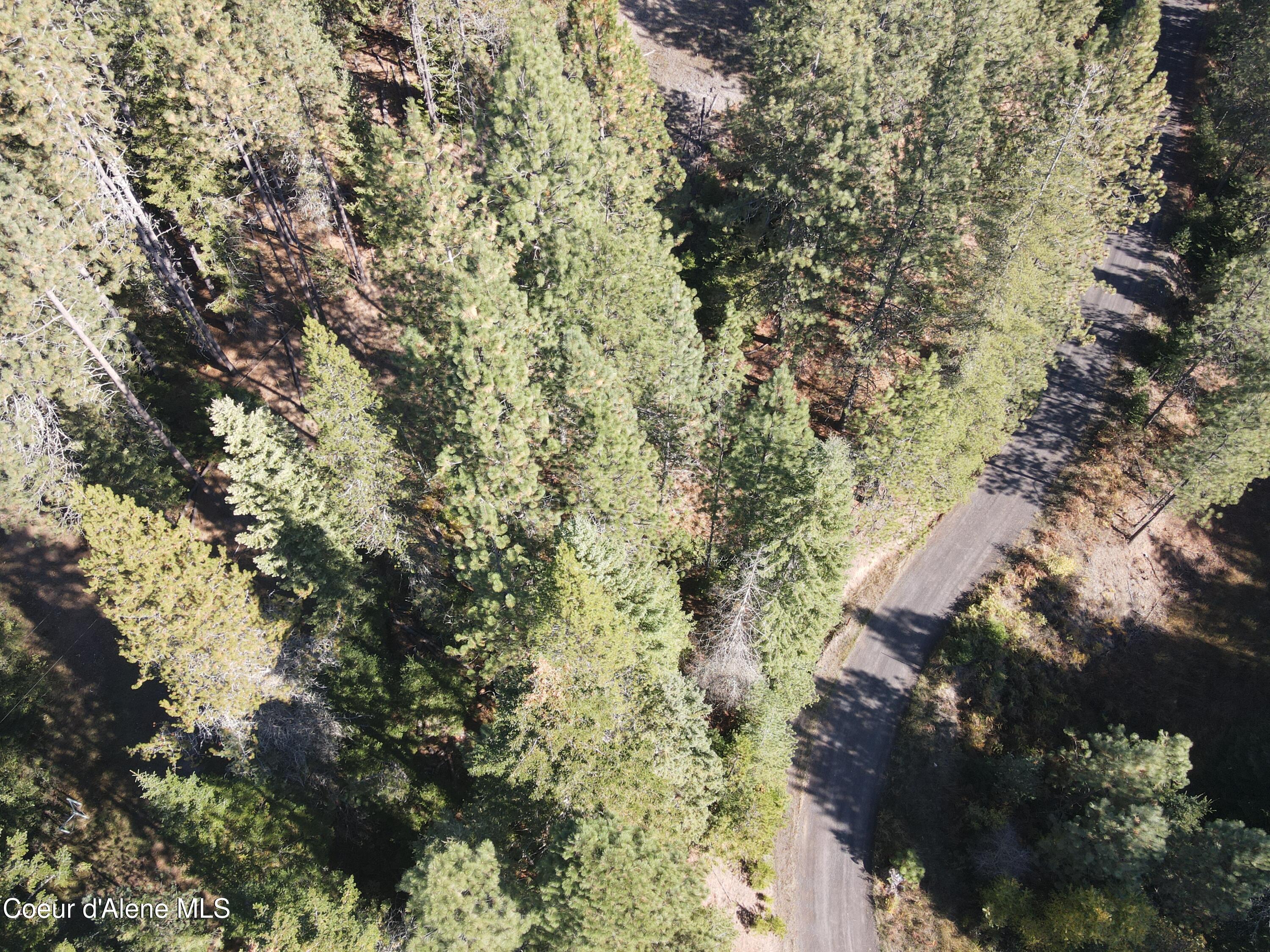 Nka East Hayden Lake Road Hayden, ID 83835 - Photo 4 of 17 dji_fly_20251016_114618_668_176064078566