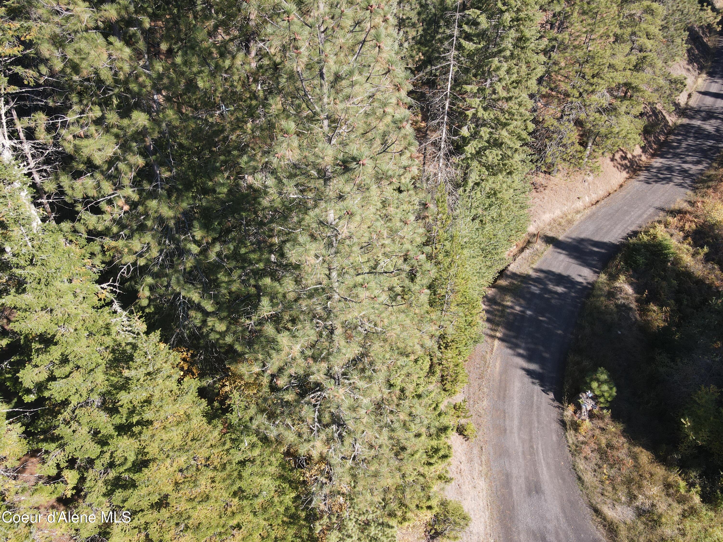 Nka East Hayden Lake Road Hayden, ID 83835 - Photo 5 of 17 dji_fly_20251016_114638_669_176064078254