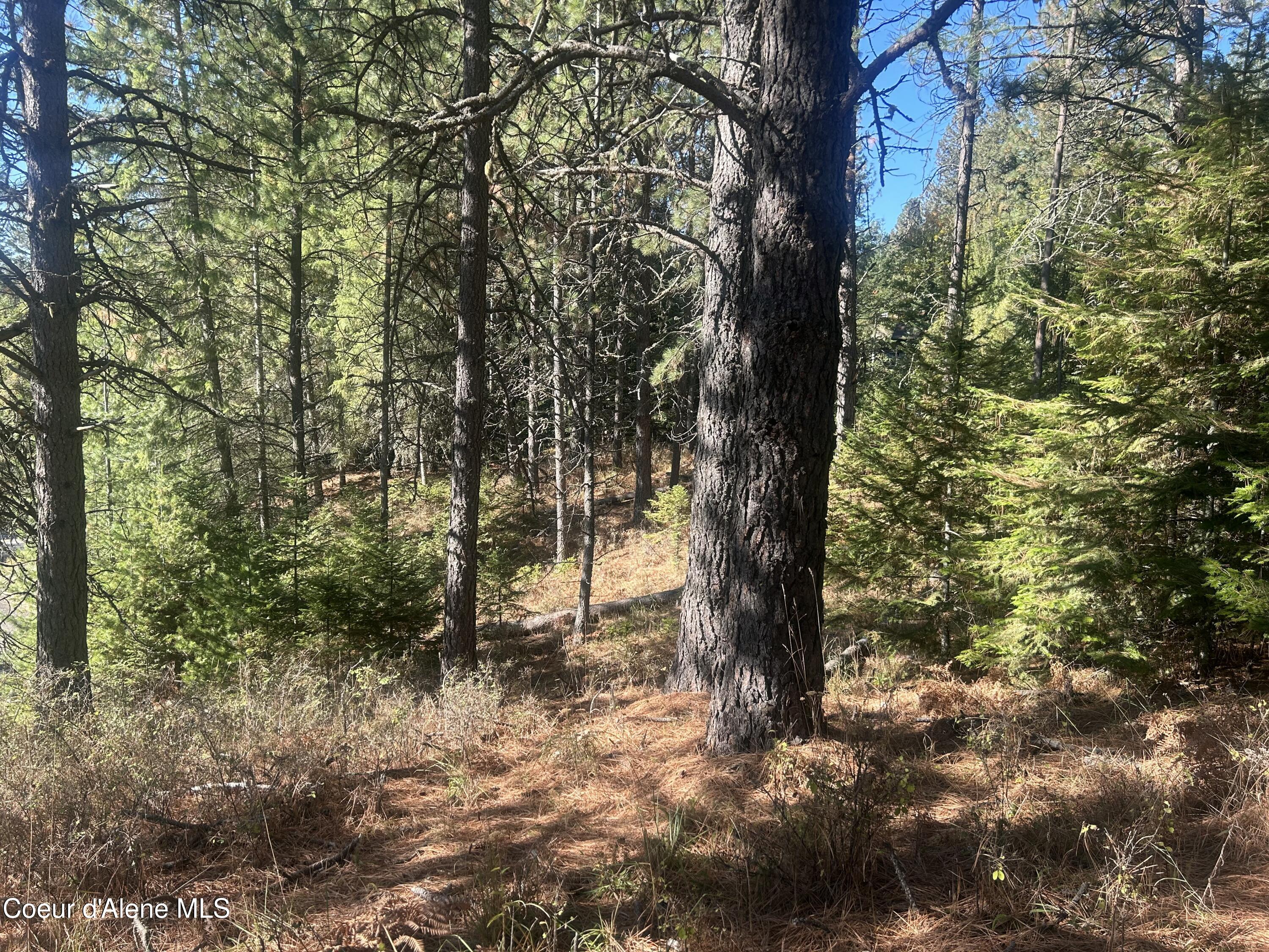 Nka East Hayden Lake Road Hayden, ID 83835 - Photo 10 of 17 IMG_5728