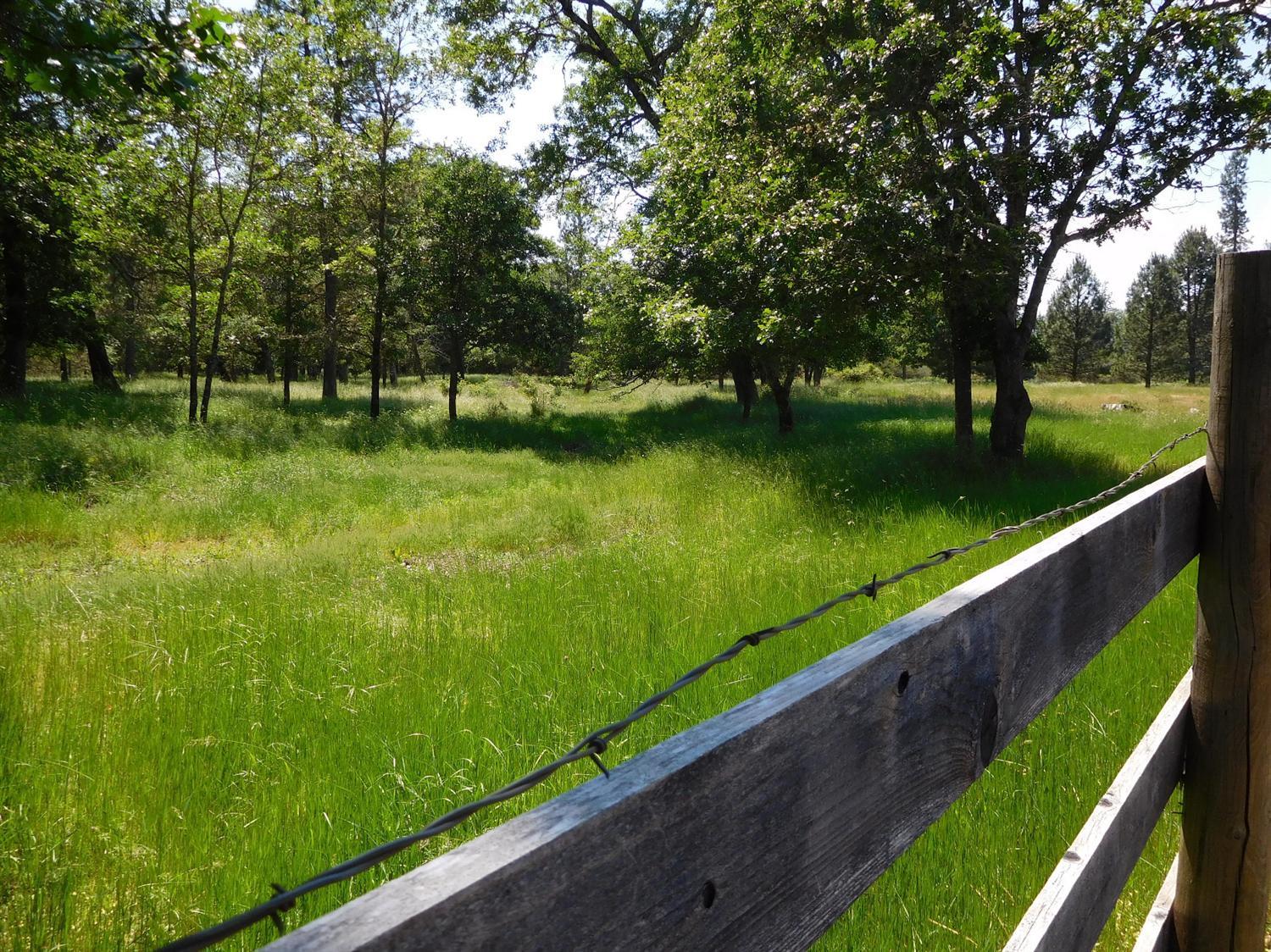 5685 Holland Loop Road Cave Junction, OR 97523 - Photo 18 of 18 As you leave the property from the home