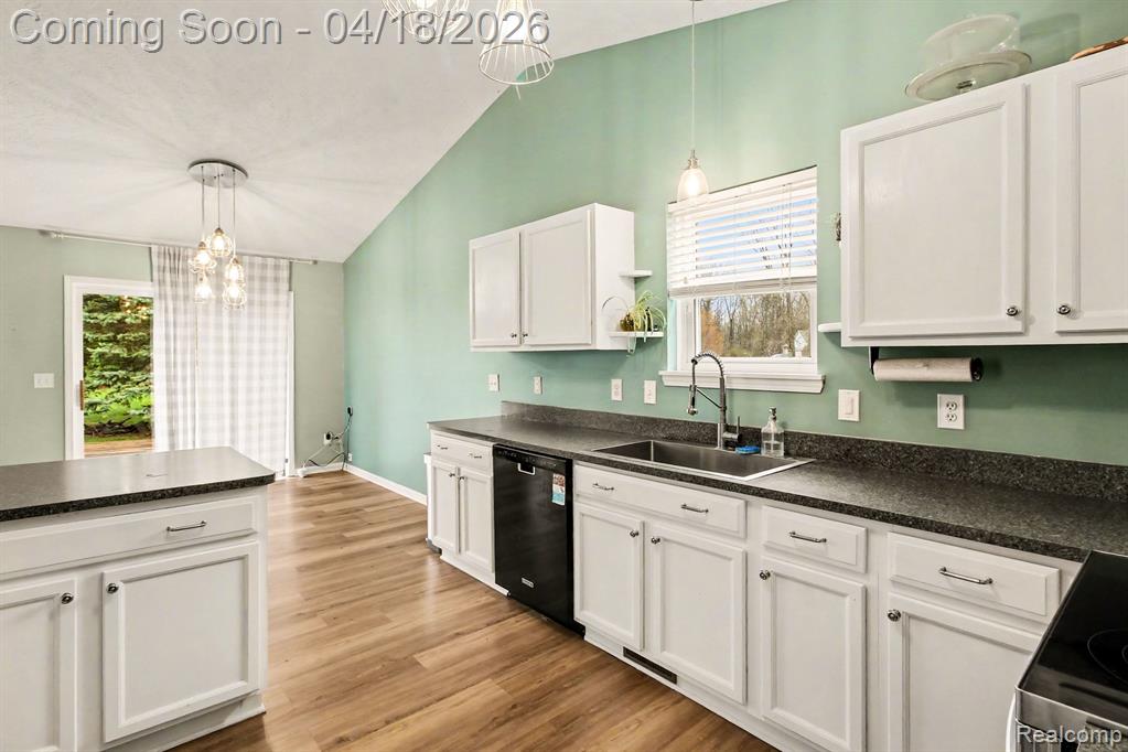 702 Dewars Street Howell, MI 48843 - Photo 10 of 20 Gallery Image 10