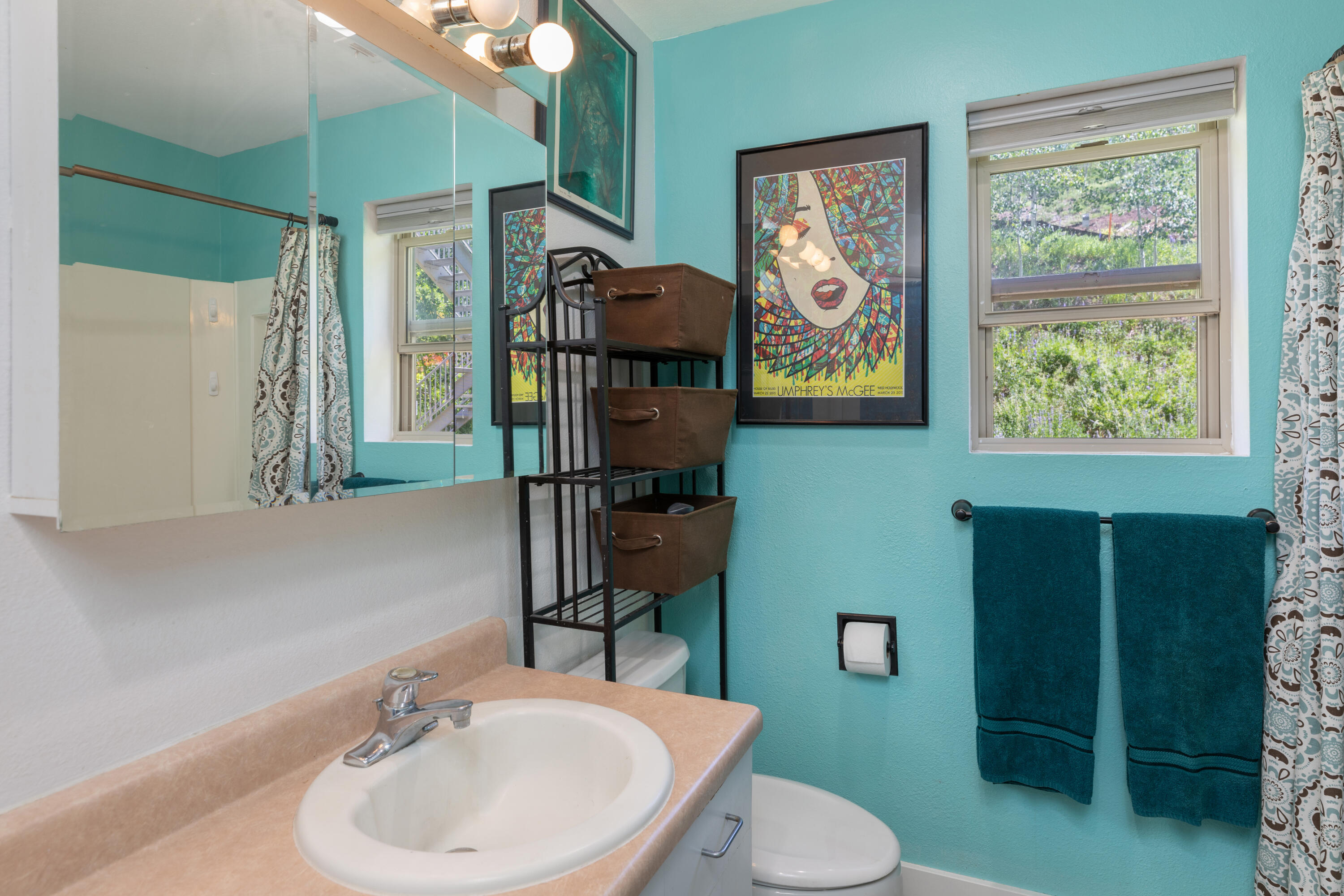 327 Adams Ranch Road, Unit 501 Mountain Village, CO 81435 - Photo 6 of 14 C12A0783