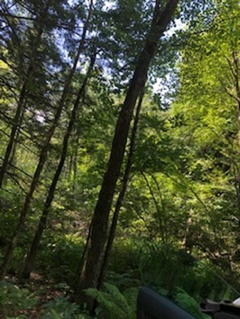 Lot 1 West Gill Road Gill, MA 01354 - Photo 28 of 31 Gallery Image 28