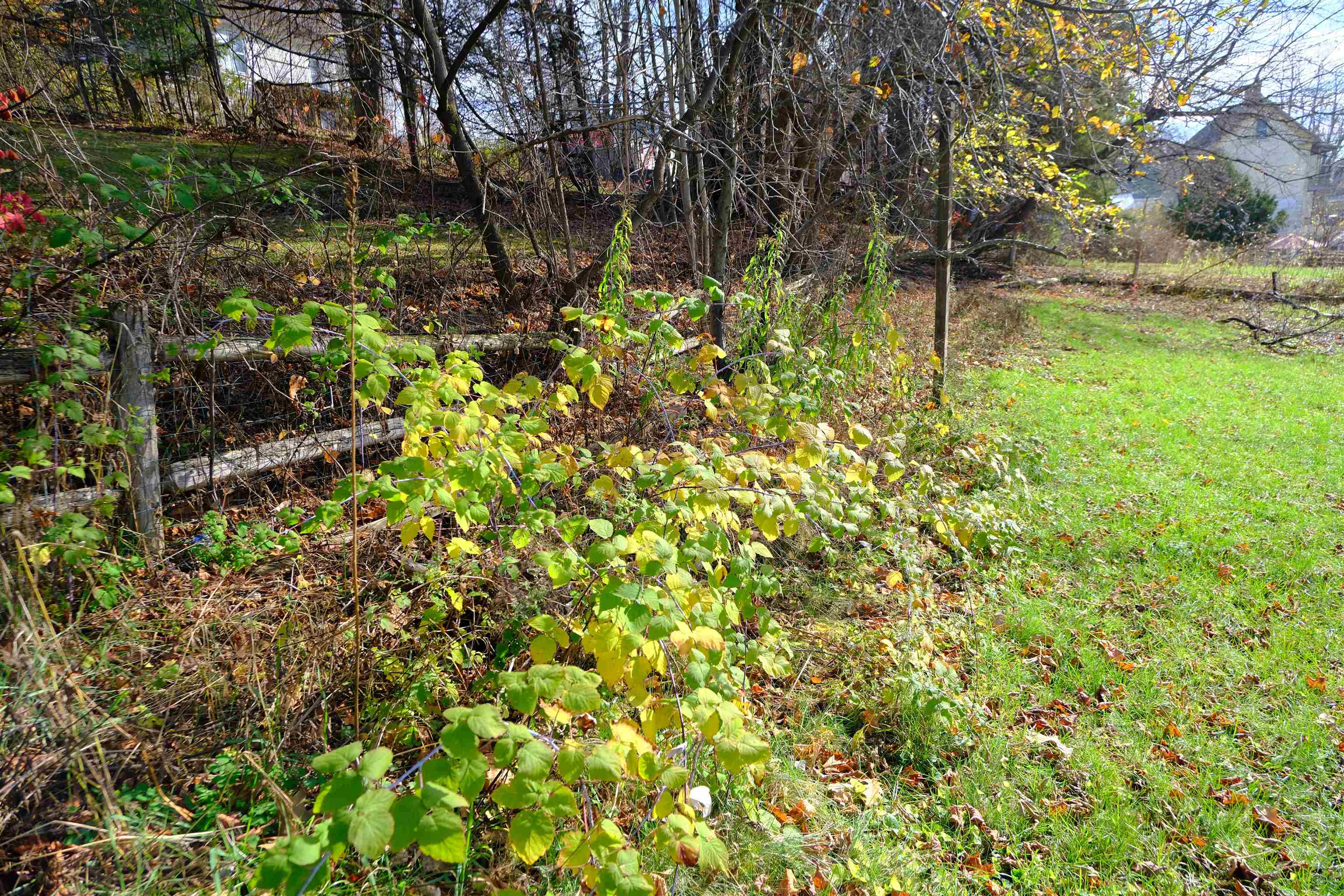 194 Charles Street Lyndon, VT 05851 - Photo 45 of 54