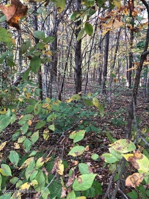 0 Poplar Ridge Road Cub Run, KY 42729 - Photo 11 of 11 PR11