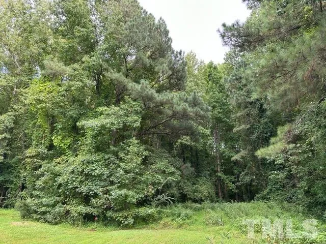 a view of a lush green forest