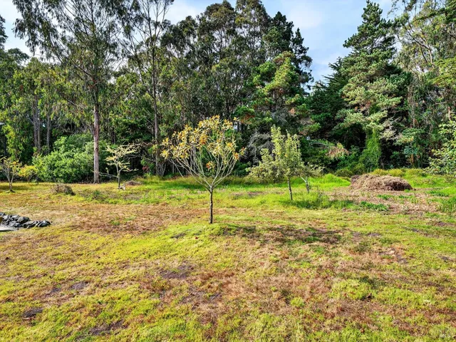 $1,685,000 | 45050 Peterson Lane, Little River, CA 95460