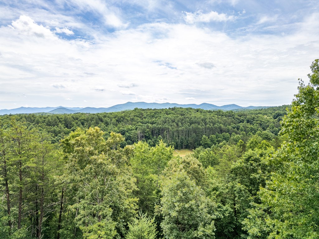 1 Stormy Ridge Brasstown, NC 28902 - Photo 11 of 20