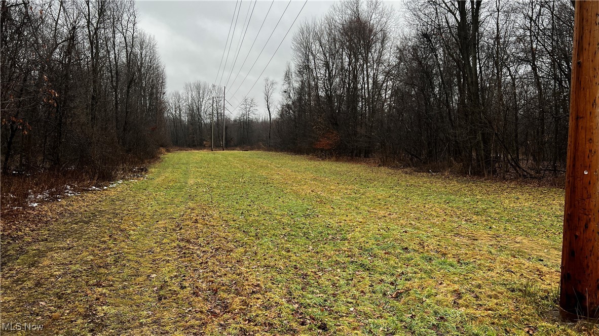 Braceville Robinson Rd Road Newton Falls, OH 44444 - Photo 35 of 50 Gallery Image 35