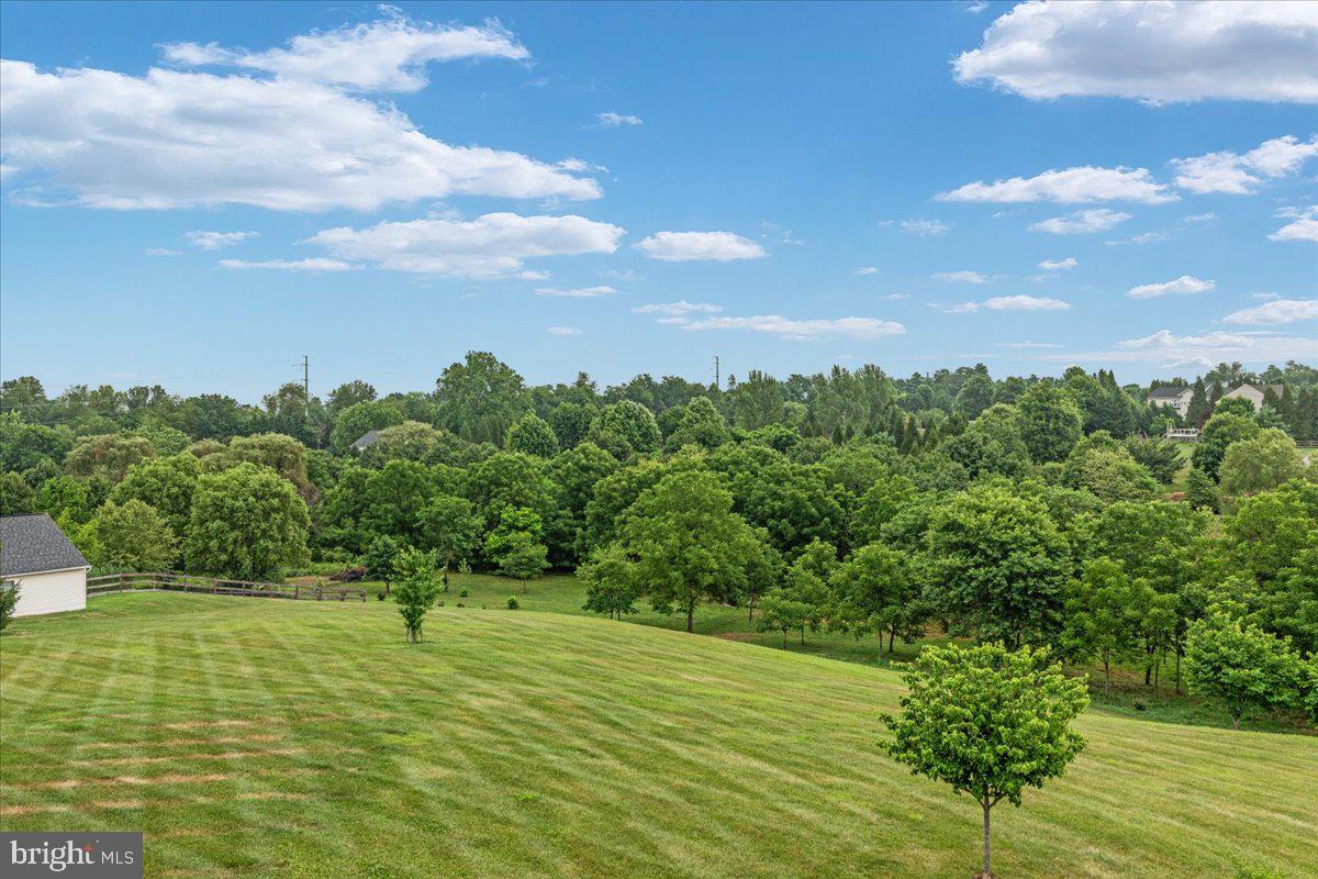38786 Rambling Farm Drive Hamilton, VA 20158 - Photo 71 of 97