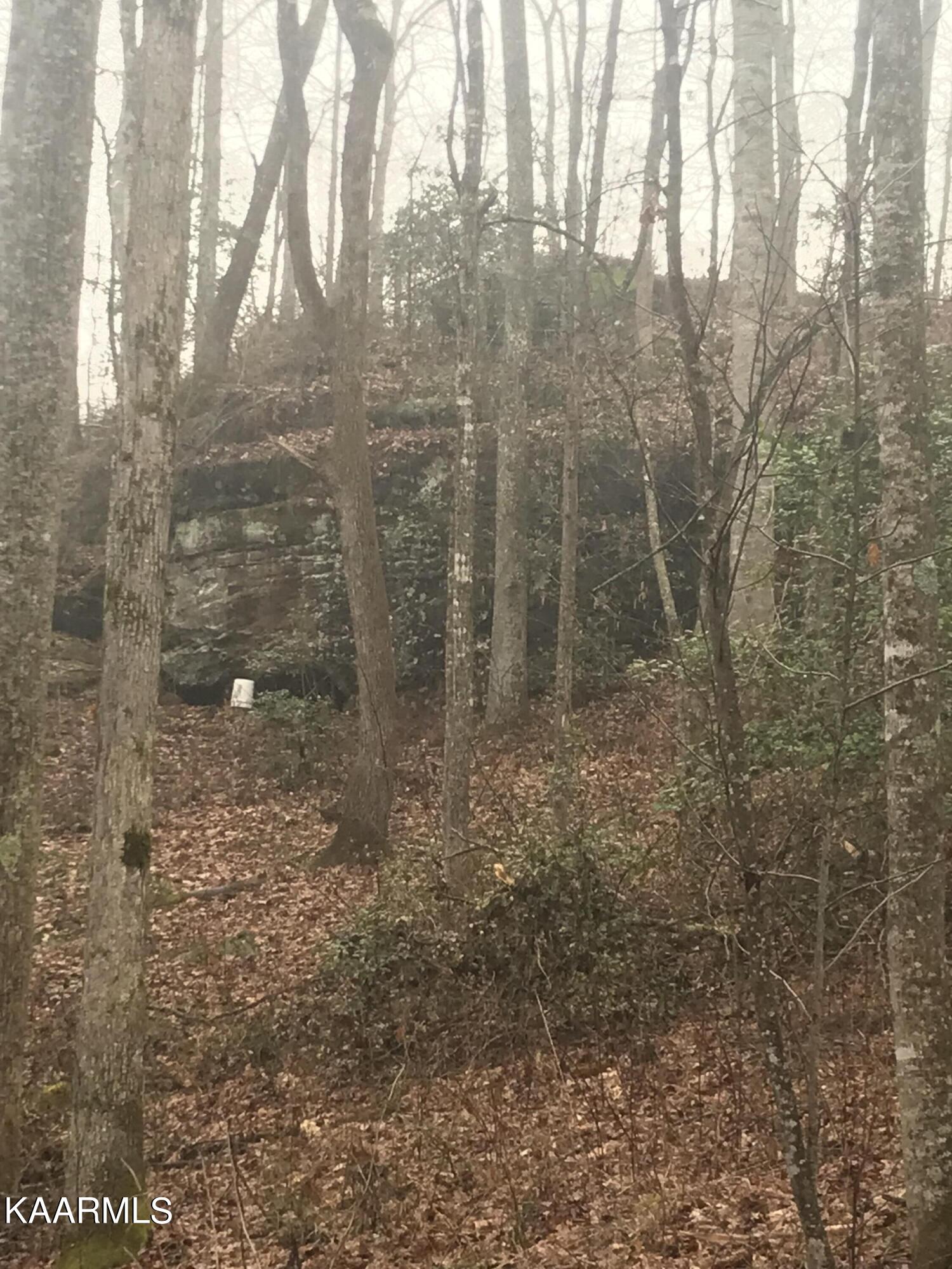 2295 Martha Washington Road Clarkrange, TN 38553 - Photo 31 of 42 IMG_4169