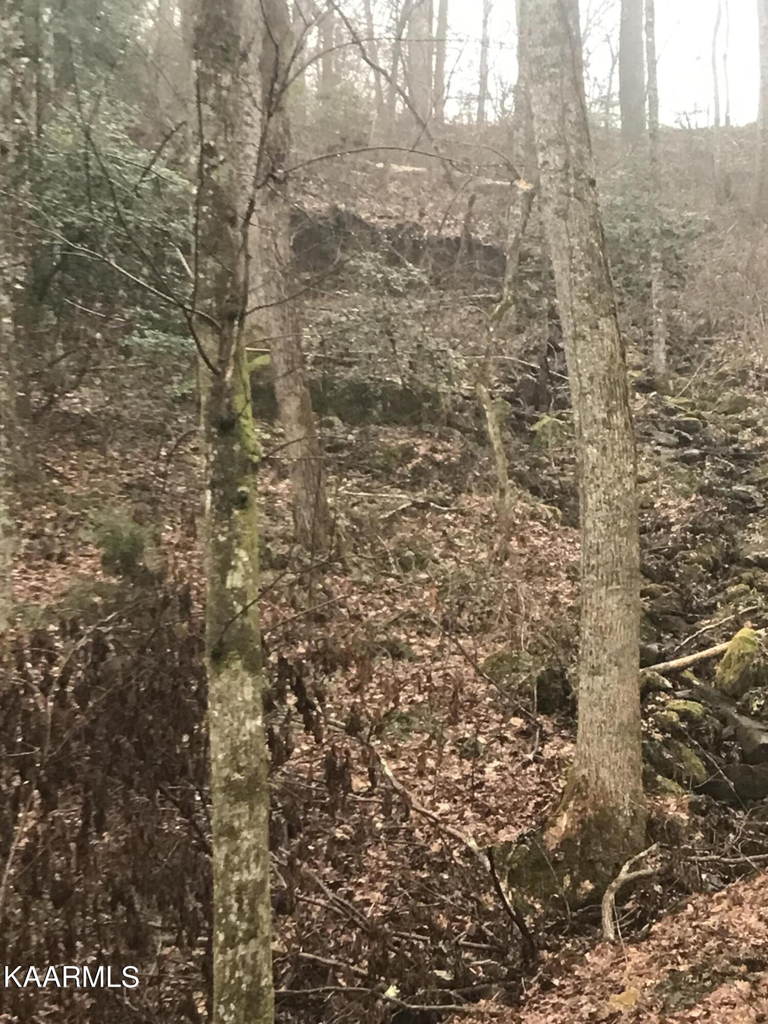 2295 Martha Washington Road Clarkrange, TN 38553 - Photo 32 of 42 IMG_4170