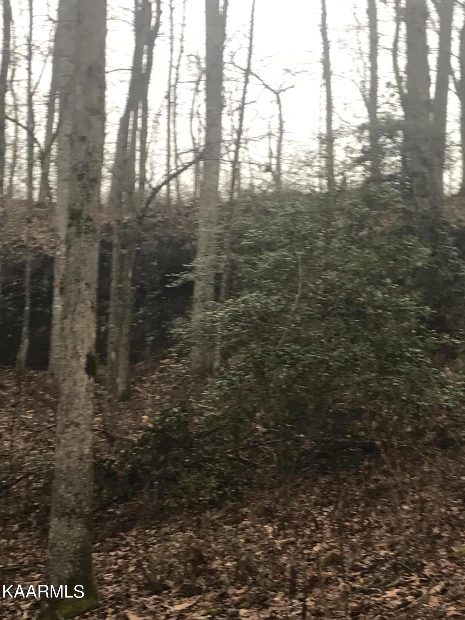 2295 Martha Washington Road Clarkrange, TN 38553 - Photo 33 of 42 IMG_4171