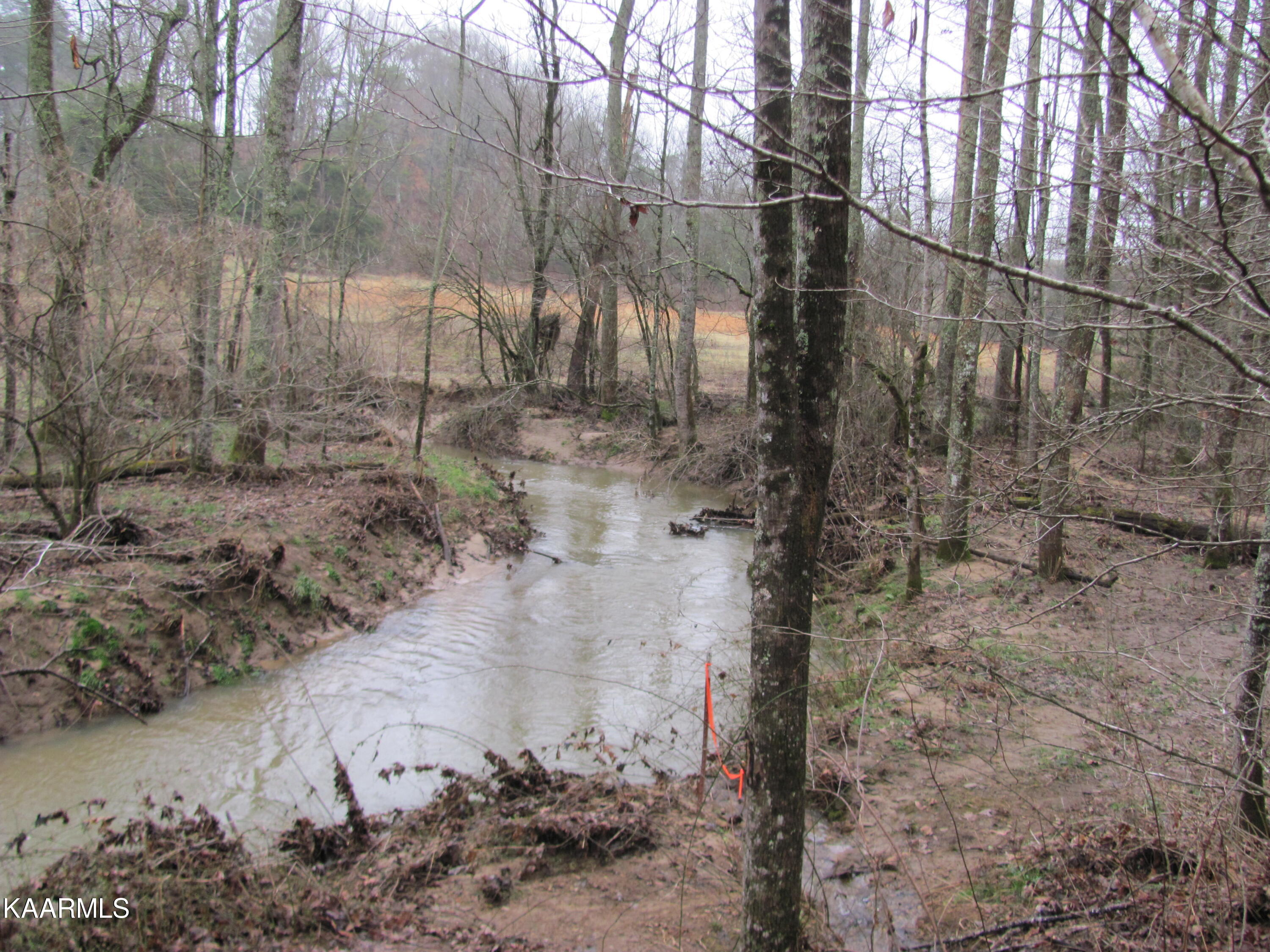 2295 Martha Washington Road Clarkrange, TN 38553 - Photo 35 of 42 IMG_0183