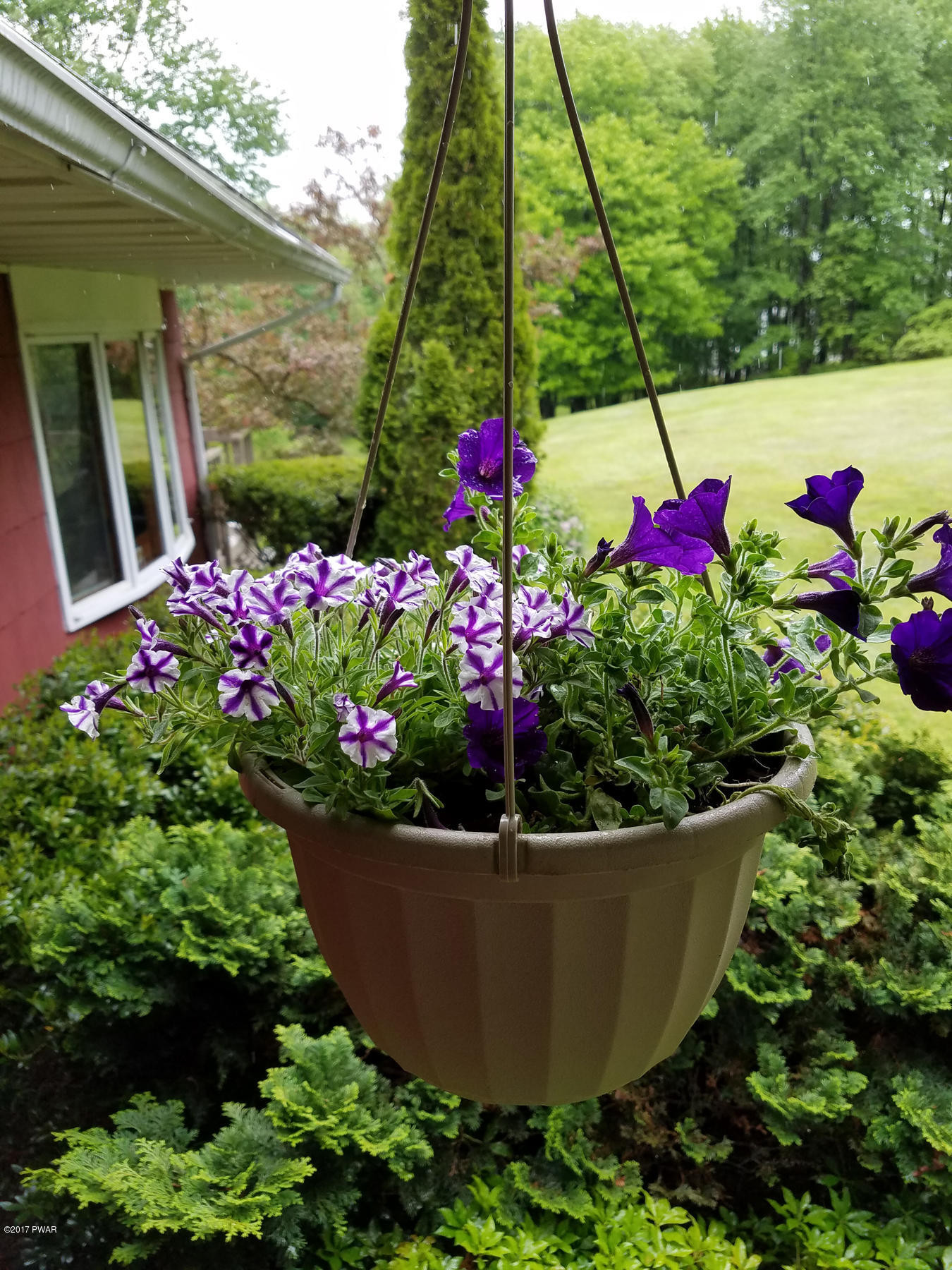 109 Roemerville Road Greentown, PA 18426 - Photo 24 of 29 Sweet Petunia