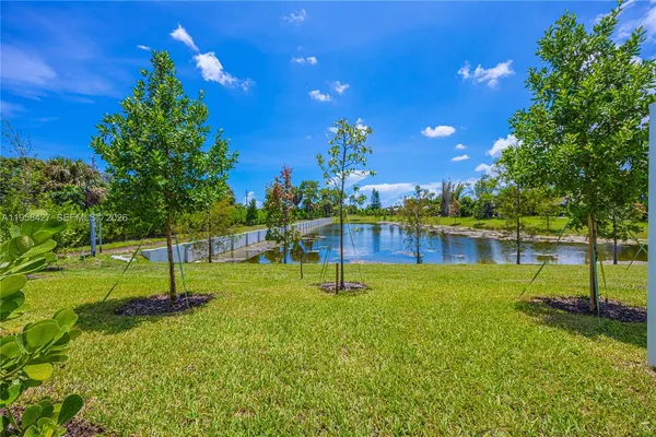 a small garden with lots of swings and slides