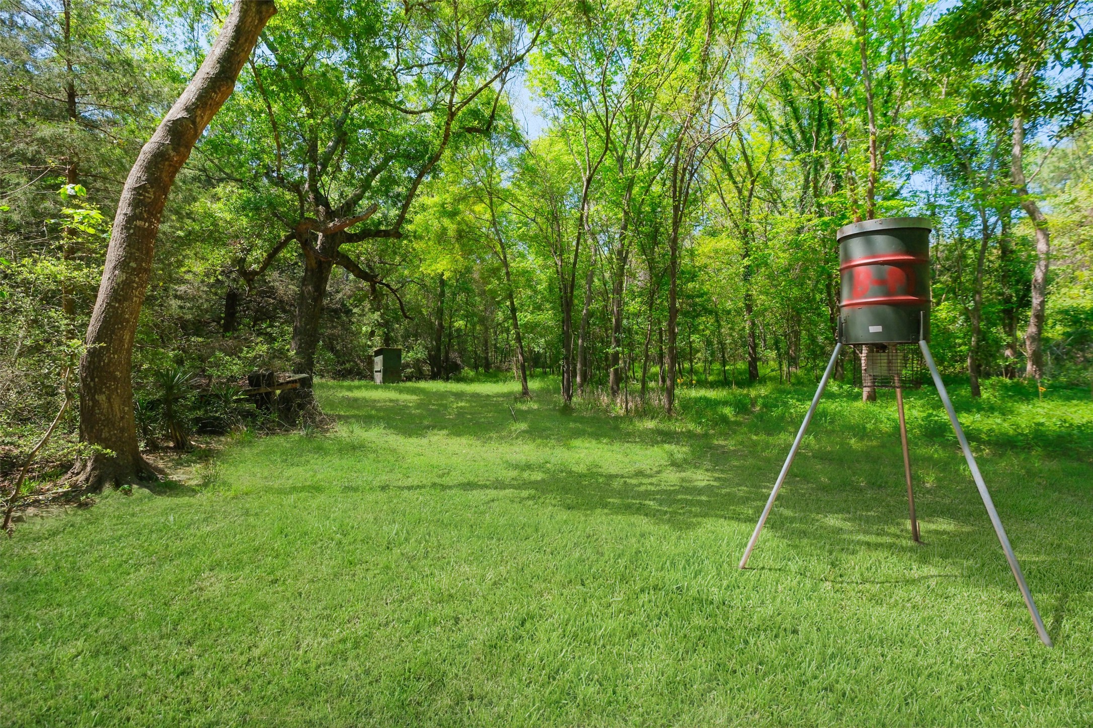 24718 Squirrel Road New Ulm, TX 78950 - Photo 3 of 26 a backyard of a house with plants and wooden fence