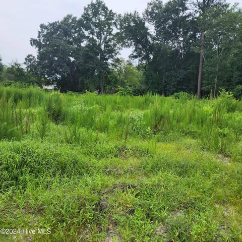 $145,000 | E1107 Eleven Farms Road, Salemburg, NC 28385