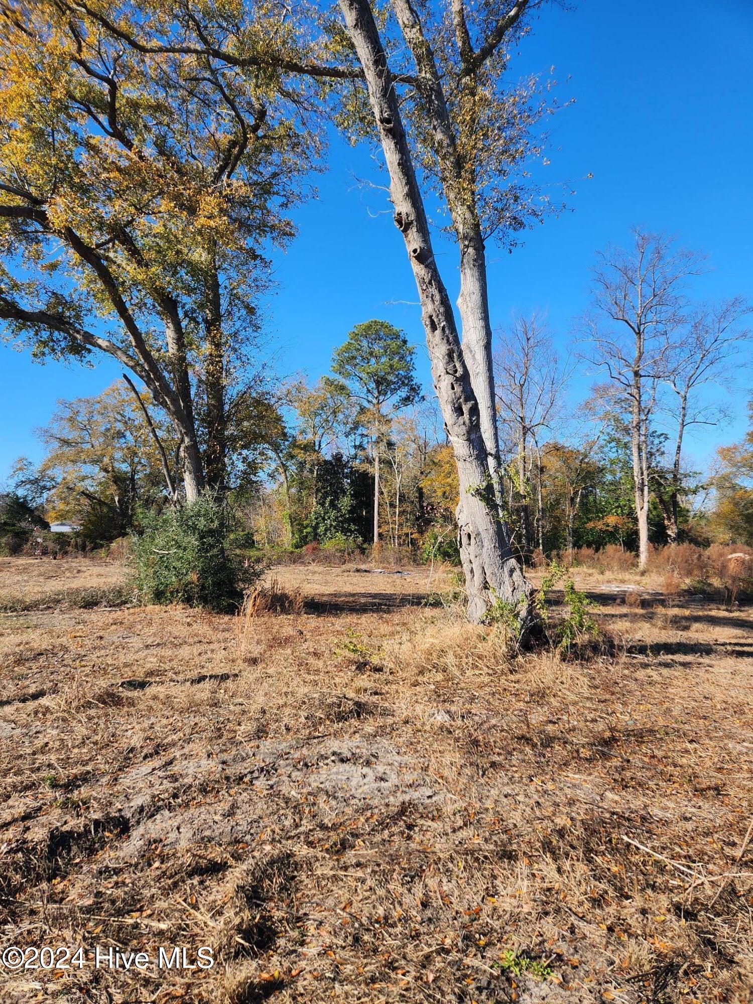E1107 Eleven Farms Road Salemburg, NC 28385 - Photo 6 of 11 20241212_133723