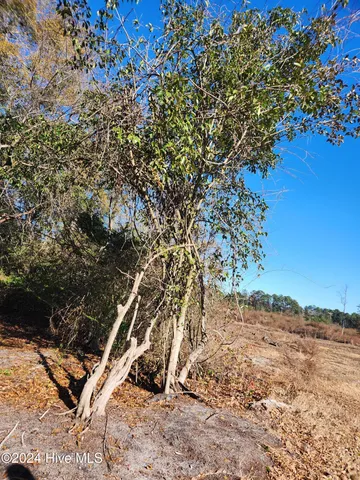 $145,000 | E1107 Eleven Farms Road, Salemburg, NC 28385