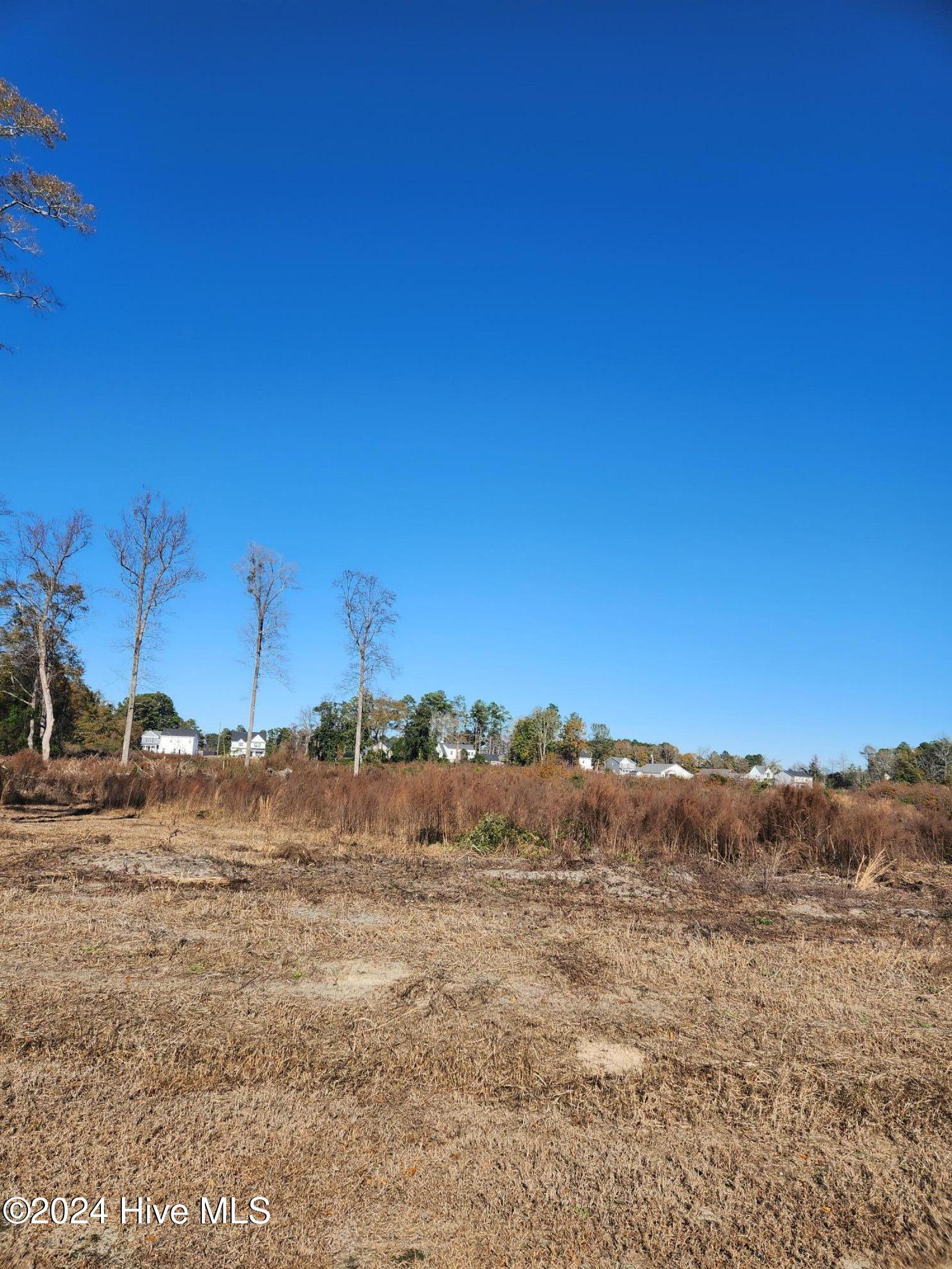 E1107 Eleven Farms Road Salemburg, NC 28385 - Photo 10 of 11 1000001923
