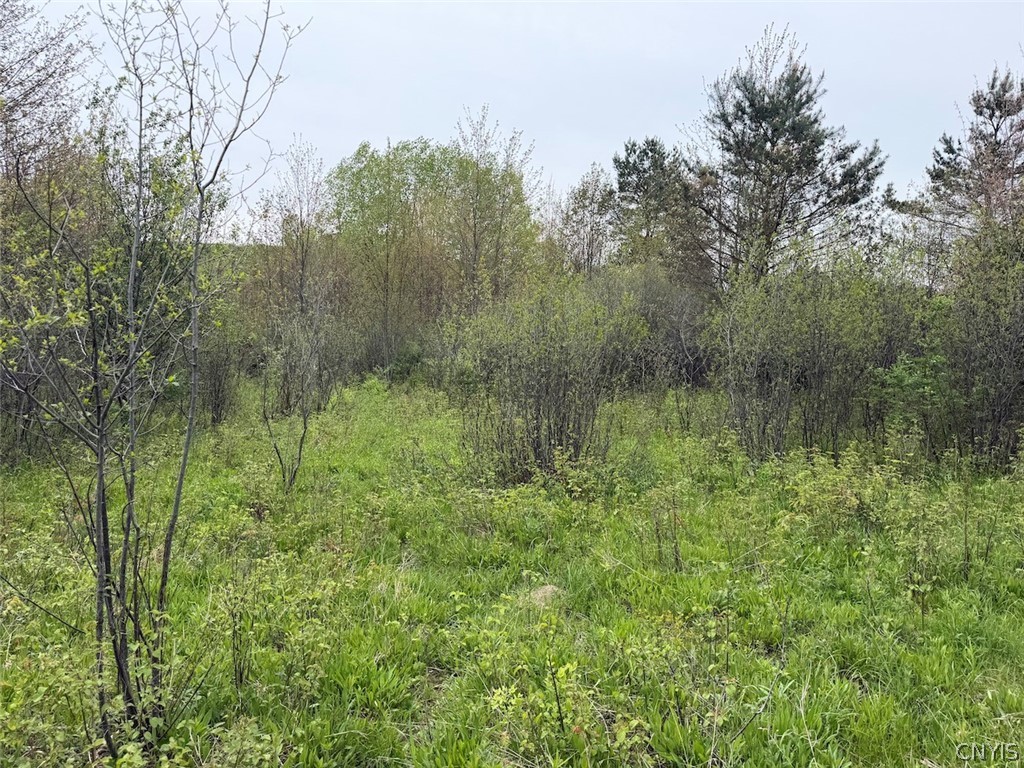 Reynolds Road Franklinville, NY 14737 - Photo 8 of 38