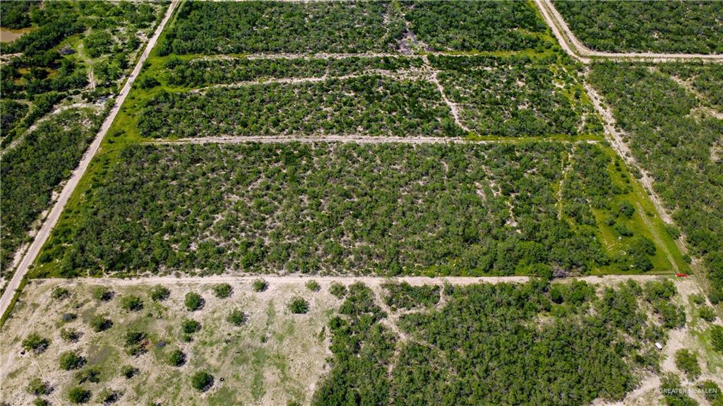 0 Old Charco Blanco Road Rio Grande City, TX 78582 - Photo 2 of 6