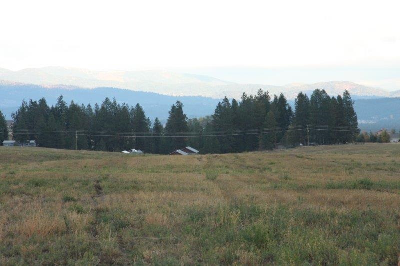 179-xx North Division Road, Unit TRACT 2 Colbert, WA 99005 - Photo 6 of 6