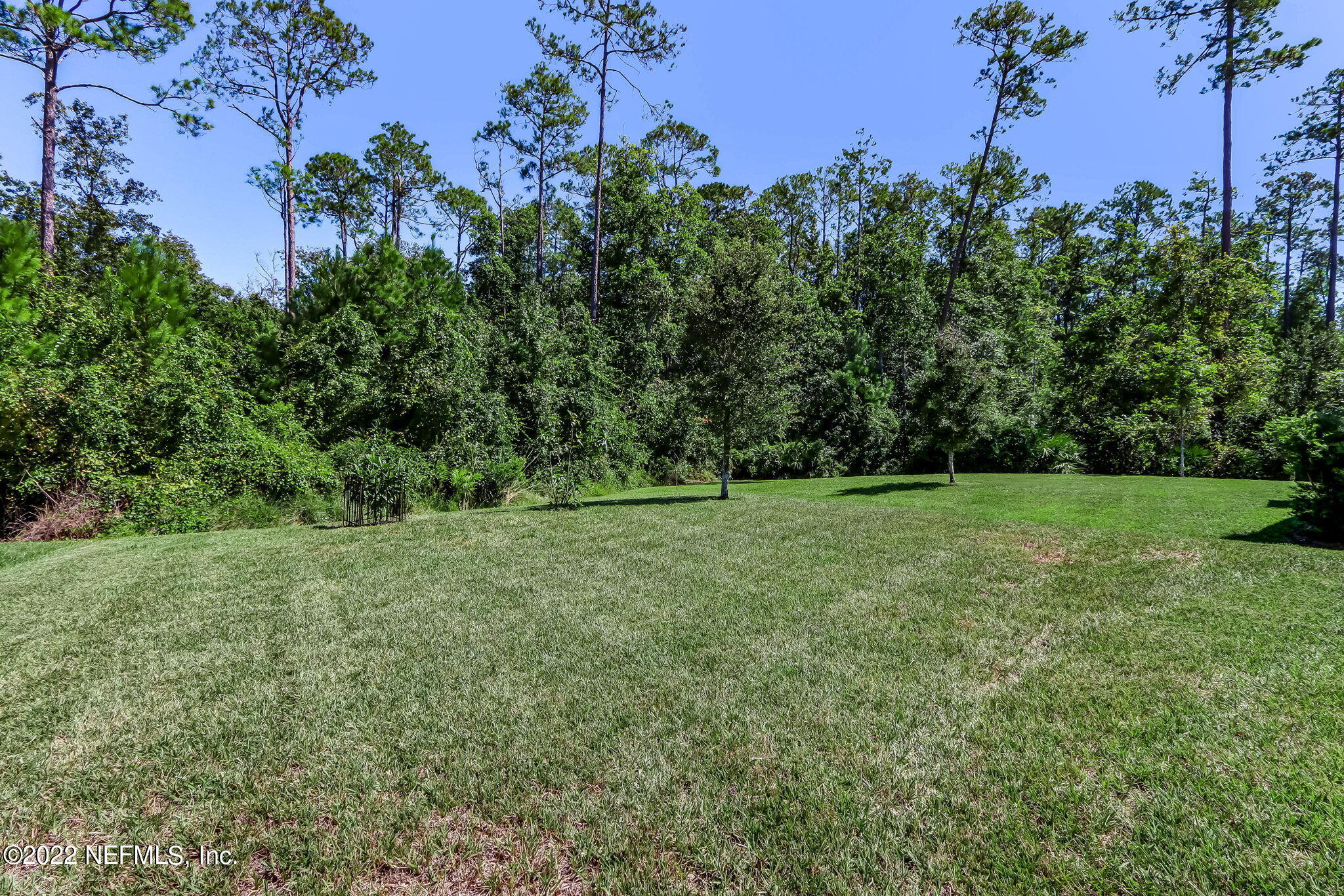 551 Tree Side Lane Ponte Vedra, FL 32081 - Photo 41 of 62 backyard 4