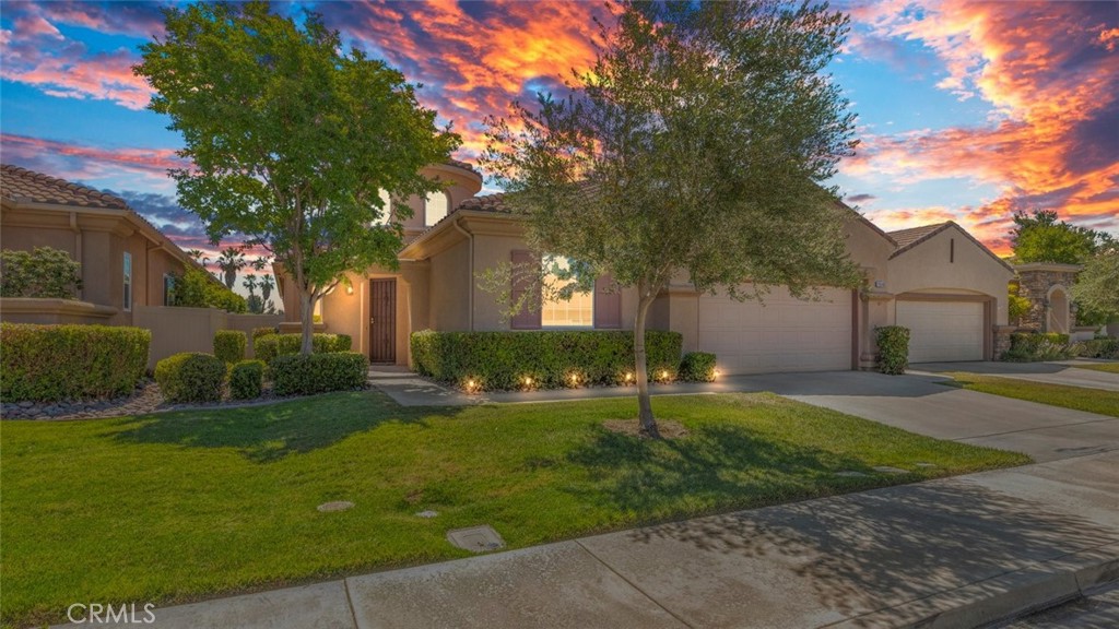a backyard of a house with plants and large tree