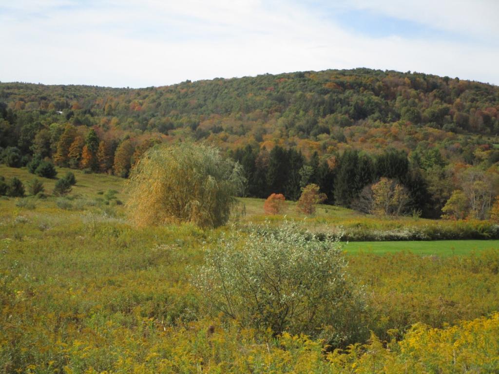 70 Pixley Road Chenango Forks, NY 13746 - Photo 1 of 5 Gallery Image 1