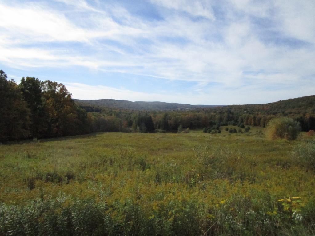 70 Pixley Road Chenango Forks, NY 13746 - Photo 2 of 5 Gallery Image 2