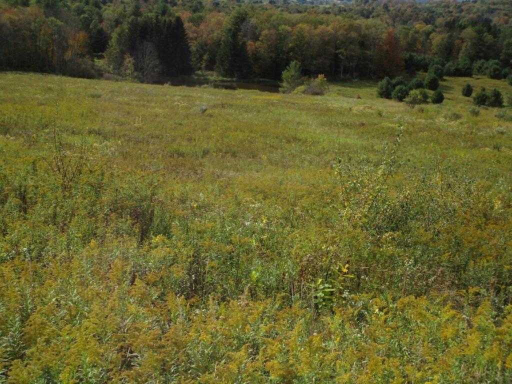 70 Pixley Road Chenango Forks, NY 13746 - Photo 5 of 5 Gallery Image 5