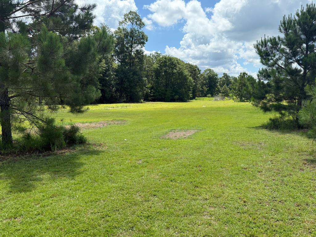 245 County Road 422 Abbeville, AL 36310 - Photo 28 of 39