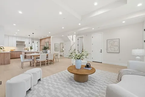 a living room with furniture a rug and a potted plant