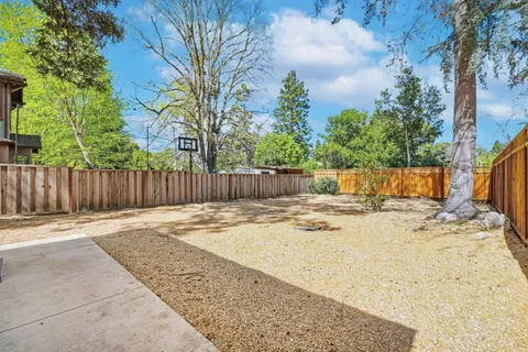 a view of a backyard with a tree and wooden fence